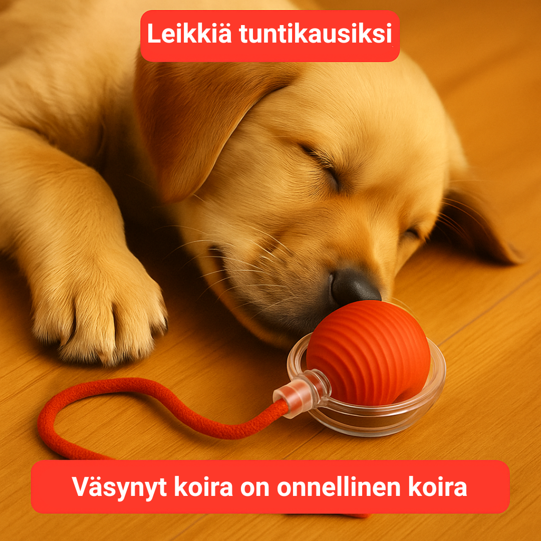 TassuPallo™ | Interaktiivinen leikkipallo koirille ja kissoille