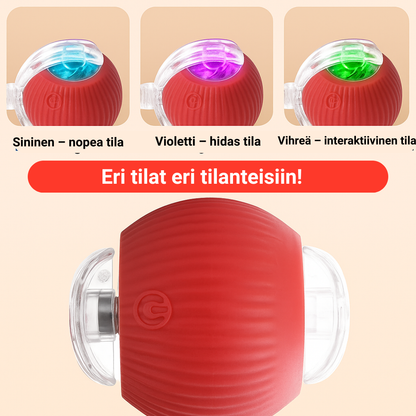 TassuPallo™ | Interaktiivinen leikkipallo koirille ja kissoille