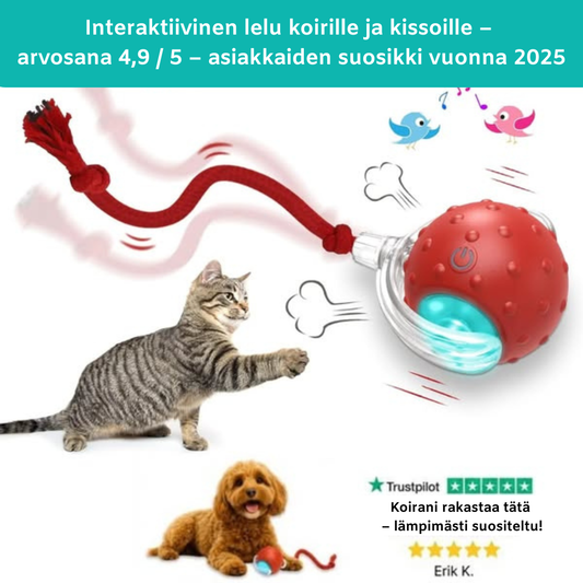 TassuPallo™ | Interaktiivinen leikkipallo koirille ja kissoille