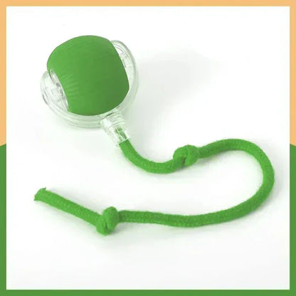 TassuPallo™ | Interaktiivinen leikkipallo koirille ja kissoille